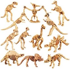 plastic dinosaur skeletons