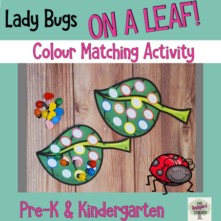 Lady bug color matching fine motor activity
